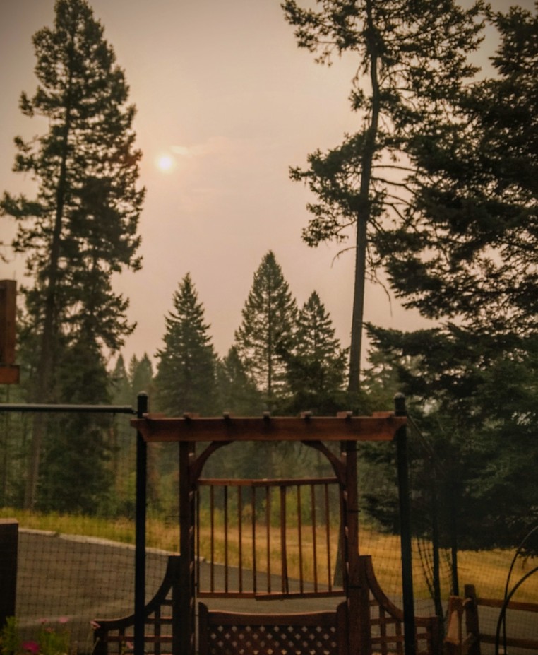 Afternoon sun obscured by wildfire smoke